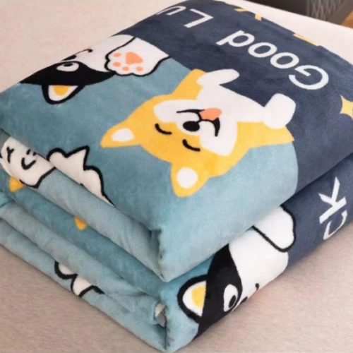 รับผลิต ผ้าห่มนาโน ผ้าห่ม Flannel ขายส่ง ราคาโรงงาน